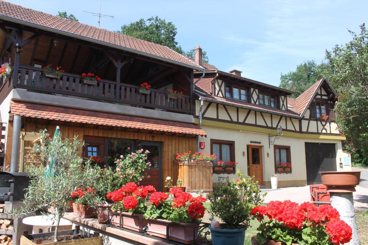 La Maison De Vacances Nothalten Экстерьер фото