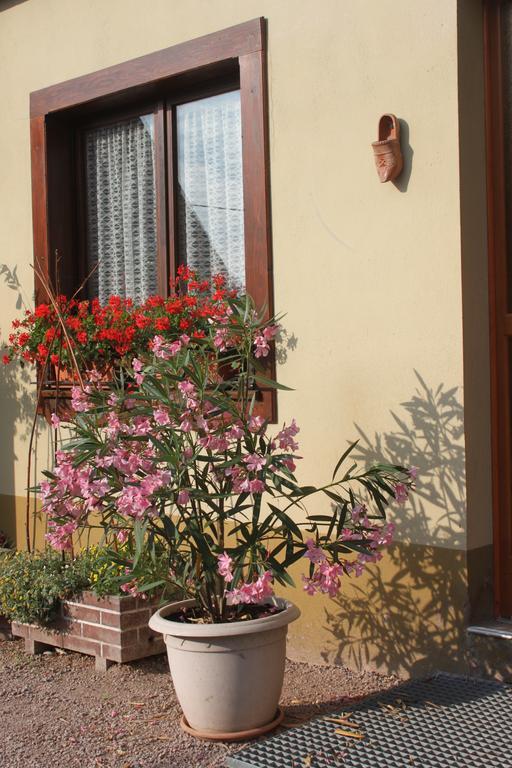 La Maison De Vacances Nothalten Номер фото
